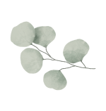 Мы стараемся жить с сочувствием, добротой и чуткостью